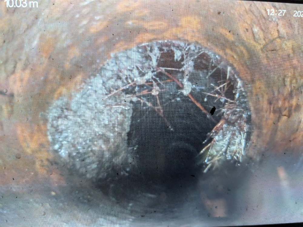 CCTV drain camera monitor showing tree roots growing through the corroded cast iron sewer at the South Yarra job