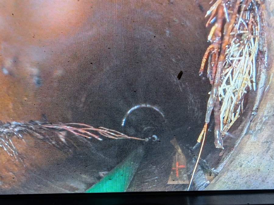 Drain camera view of tree roots growing inside a sewer pipe