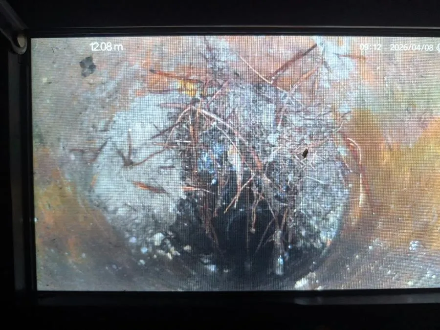 CCTV drain camera footage showing tree roots inside a sewer at 12 metres